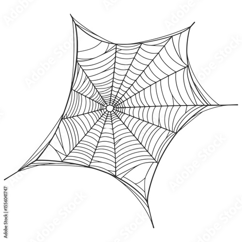 Spider web line art vector eps