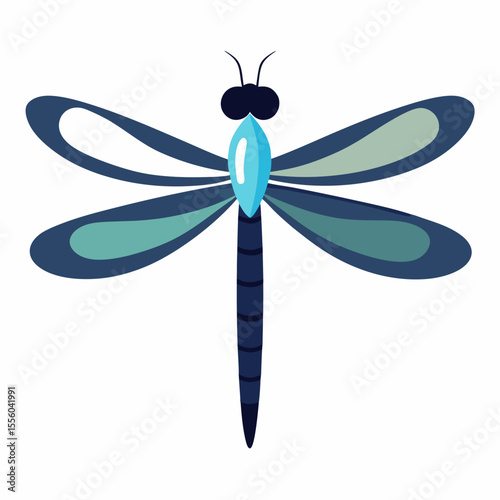 dragonfly vector illustration, animal, isolated on white background