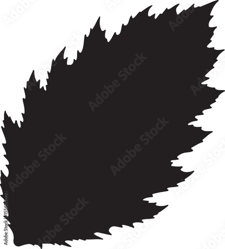 Birch leafminer in silhouette image.