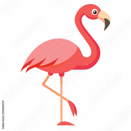 flamingo on white vector illustration, animal, isolated on white background
