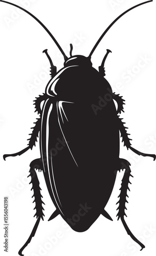 Australian wood cockroach in silhouette image white background.
