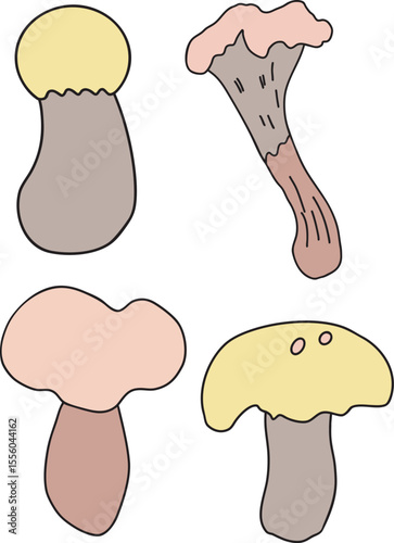 set of mushrooms vector illustration Colorful hand-drawn  food illustration Great for restaurant menu, kitchen decor, recipe book, educational material 