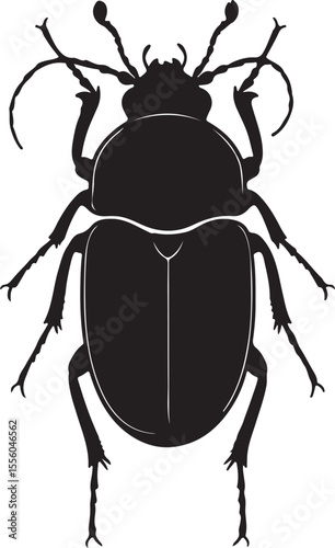 Cantharoid beetles insect in silhouette.