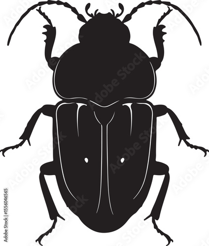 Bombardier beetle insect in silhouette image white background.
