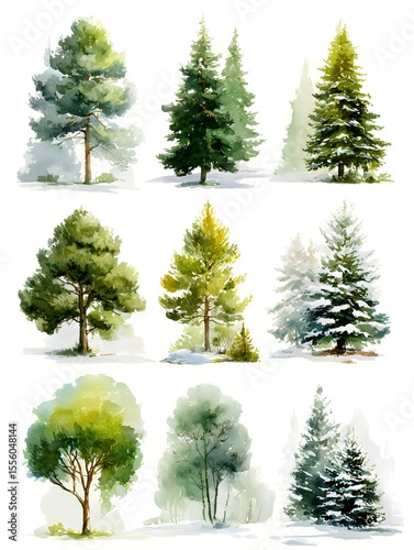 Diverse watercolor trees form a unique collection of arboreal designs on a pristine white background.