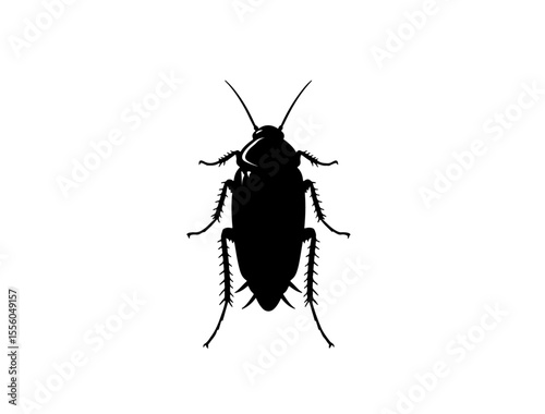 Cockroach insect in silhouette image white background 