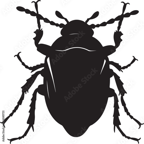 Cockchafer insect in silhouette image.