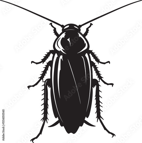 Cockroach insect in silhouette image white.