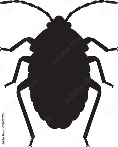 Bed bug in silhouette image white background.