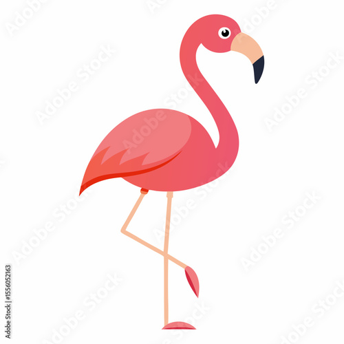 flamingo on white vector illustration, animal, isolated on white background