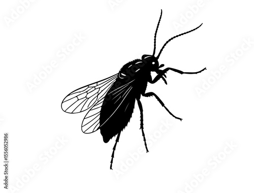 Generate full black vect of Gnat in silhouette image white background.
