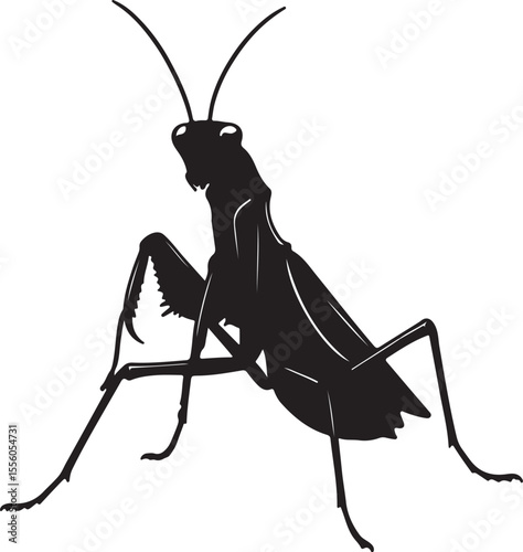 Grass mantis in silhouette.