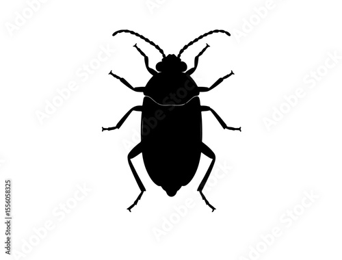 Pinion insect in silhouette image white background.