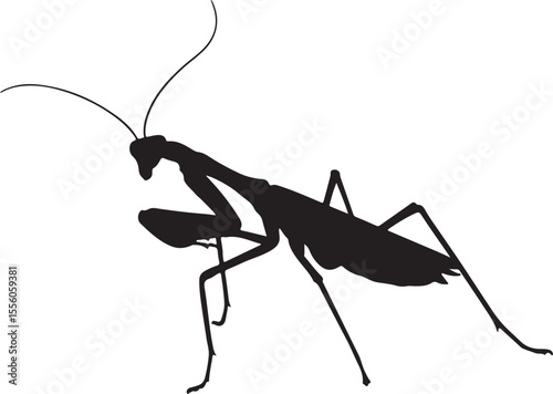 Mantis in silhouette image.