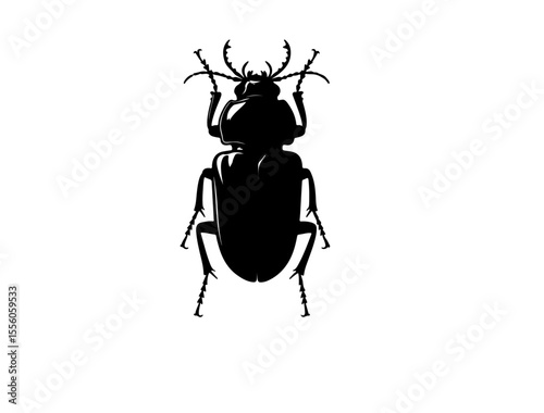 Monkey beetle insect in silhouette image white background.