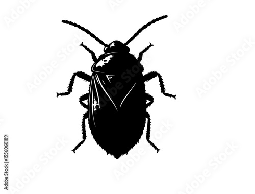  Mud dauber insect in silhouette image white background.