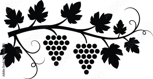 Grape Vine Branch Silhouette Vector Illustration