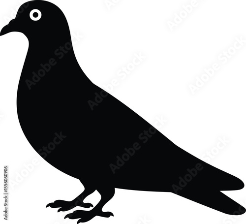 Pigeon Bird Silhouette Vector Illustration