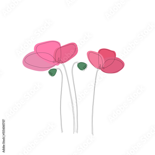 pink poppies