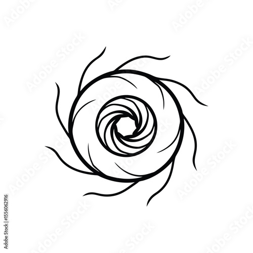 branches spiraling into a whirlpool shape line art 