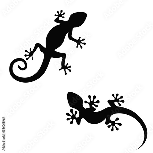 lagartixa gecko