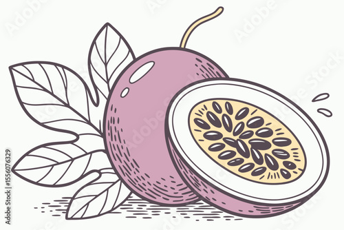 High Quality Passion Fruit Vector Illustration