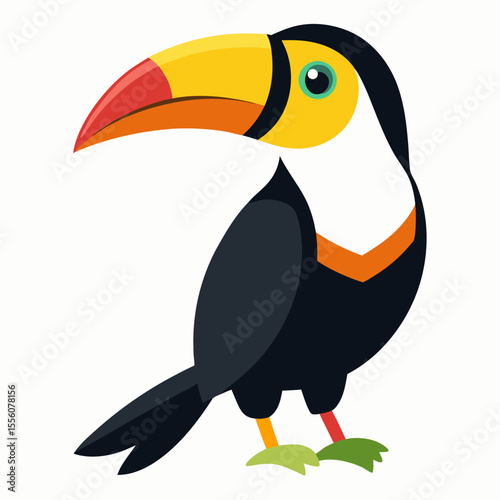 funny toucan cartoon vector illustration, animal, isolated on white background
