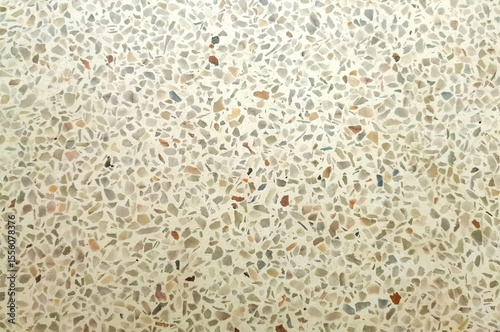 Terrazzo floors