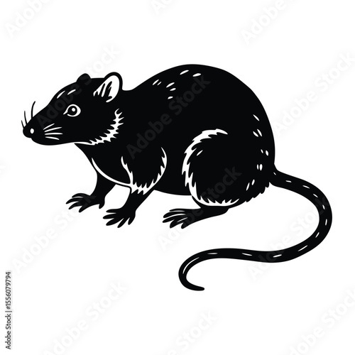 vector illustration of a black cat