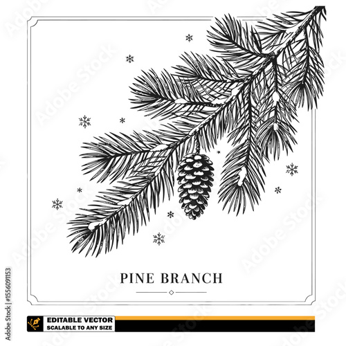 A monochrome silhouette of pine tree branch with needles and a pine cone hanging from the branch below