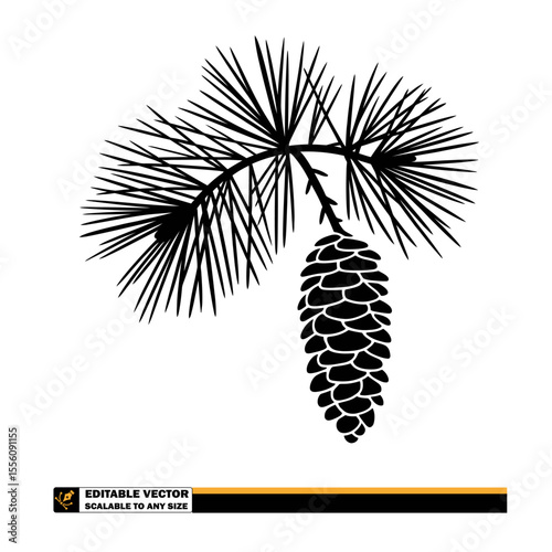 Silhouette of a pine branch with needles and a pine cone on a white background in the right corner