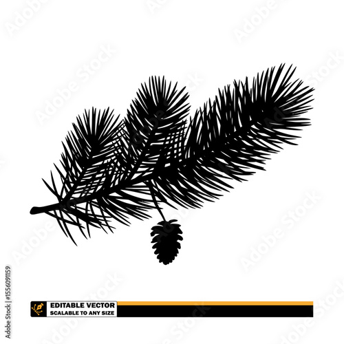 Silhouette of a pine branch with needles and a pine cone on a white background in the right corner