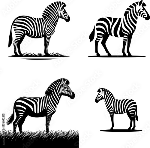 Minimalist zebra illustration in black and white vector with clean line art style.