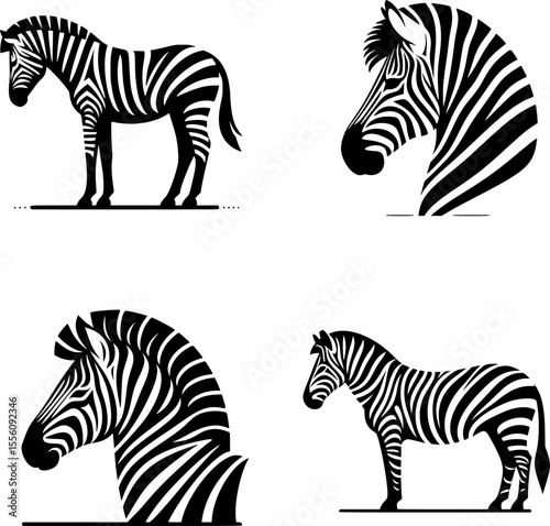 Minimalist zebra illustration in black and white vector with clean line art style.