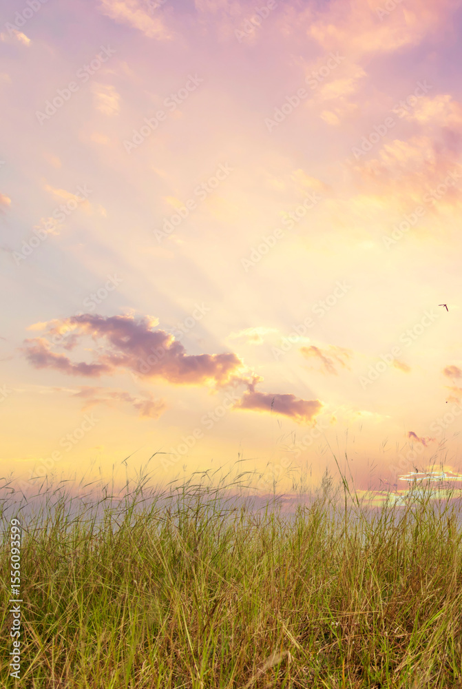 Fototapeta premium Vertical Horizon Blue golden sky sunrise dramatic beautiful landscape mountain. Dawn sky gold time cloudscape. Vertical Dramatic sunset over mountain landscape. Beautiful landscape fog morning hills