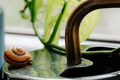 Snail on a watering can among indoor greenery. Close-up of a snail on a metal watering can, surrounded by indoor plants and soft window light.