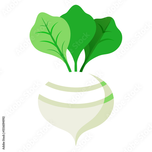 Illustration of a White Radish Icon with Green Leaves A Simple Turnip or Root Vegetable Design