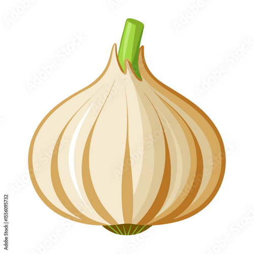 Fresh garlic and onions, isolated on a white background, are healthy and organic cooking ingredients