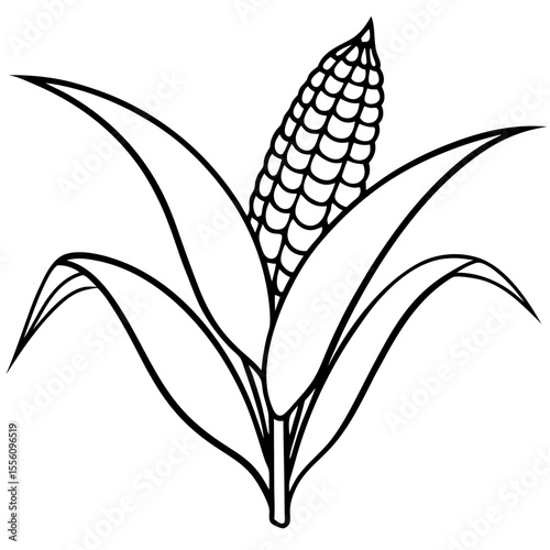 Corn Plant Outline Vector