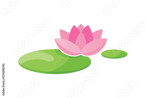 pink lotus flower isolated
