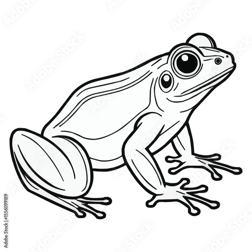 Illustration of a frog with detailed outlines and large eyes ready for coloring or design purposes