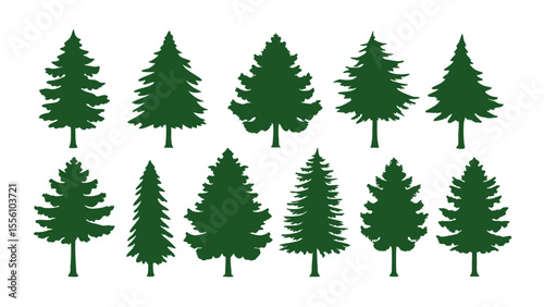 A row of evergreen tree silhouettes in various sizes