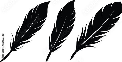 Set of Feather Vector Illustrations in Black Silhouette Style