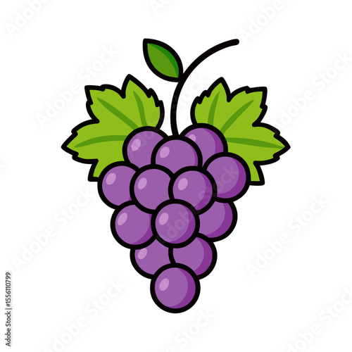 Bunch of purple grapes with green leaves and vine illustration bunch of grapes fruit