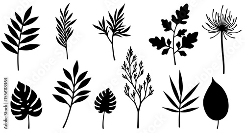Botanical vector illustration: collection of silhouetted leaves for nature design