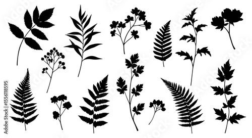 Black silhouette botanical vector illustration for nature and garden design in flat style