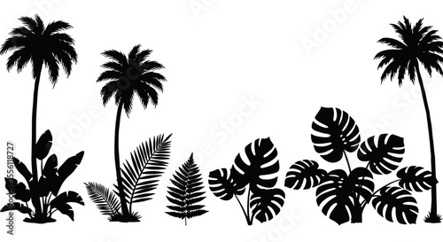 Tropical botanical silhouettes: vector illustration for nature and design, ideal for posters and prints
