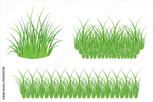 A high-quality green grass vector set featuring three distinct and cleanly designed grass border elements. Realistic grass vector pack.