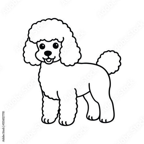 Happy poodle dog with fluffy curls silhouette isolated on white background