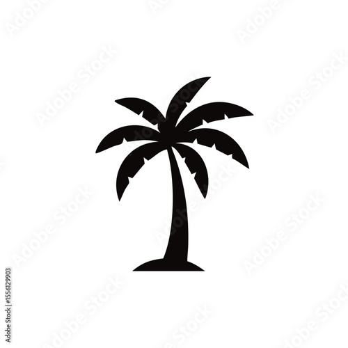palm tree vector